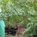 호암약수터 이미지