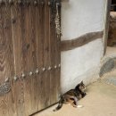 녹원재 | 경북 영주 녹원재 시골 촌캉수 추천