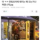돼지포차 - 김포시 율생로 17 | 돼지포차