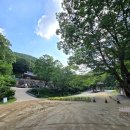 모두의상사 | 의성여행 가볼만한곳 고운사 / 가운루 우화루 연수전