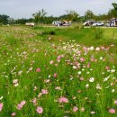 승촌공원 캠핑장 이미지