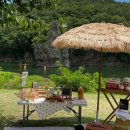 파라솔식당 이미지