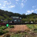 두무포산장 이미지