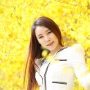 신채은 카카오 검색결과