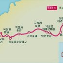 제주 올레길 13코스 티스토리