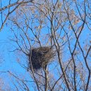 건축학개론 이미지