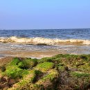 아침의 바다 이미지