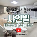 합동부동산공인중개사사무소 | 경성대 원룸·부경대 원룸 추천, 리모델링 첫입주 느낌 그대로 | 샤인빌