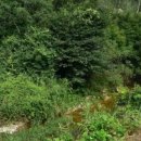 복흥면사무소 이미지