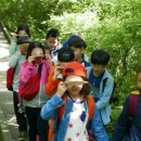 인천당산초 이미지