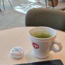 서김해산단로2R | 11월 일상 모음(下) 샤샤샤 나의 상하이 러브