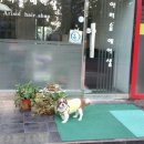 아리솔헤어샾