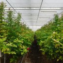 오수농장 이미지