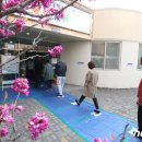 목양초교병설 이미지