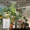 그린식당(구내식당) 이미지