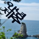 풀하우스 | 제주 여행 세모녀 서귀포 한달살이 후기-가볼만한 곳 숙소 호근풀하우스