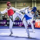 파란태권도 이미지