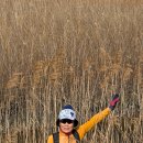 율포솔밭해변1 이미지