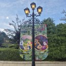 (주)키다리스튜디오 | 에버랜드 할로윈 축제 2025 용인 현지인 추천 코스! 오즈의 마법사 블러드 시티 데몬 헌터즈까지