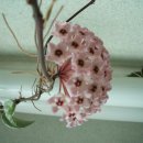 [오늘의 운세] 오늘의 역사~2016년(3월21일) 월요일 운세 이미지