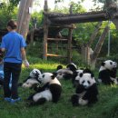 성도 농장 이미지