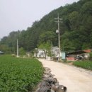 다올공인중개사 이미지