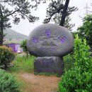 삼거리 당숲내 | 신안 퍼플섬 탐방(2) - 반월도 둘레길(해안일주도로) 전동카트 투어