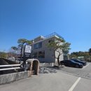 The 건강나무 | 남양주 대형카페 식물원과 정원까지 나들이하기 좋은 THE377 베이커리카페