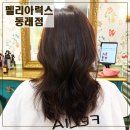 씨유동래대로점 | 부산명륜동미용실 펠리아럭스 동래헤어샵 잘하는곳 추천