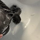 꼼꼼한 마산미용실 추천 마산댓거리미용실 [마녀살롱] 클리닉 후기