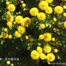 모리폴리 이미지