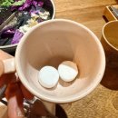셰프들의밥상 청라국제도시점 | 청라파스타 맛집 하얏트 호텔 출신 셰프들이 만든 런치세트 먹어본 후기 [만리재 비스트로 트레 청라본점]
