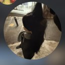 한성협동조합택시 | 몇 초의 소음을 지나 영원을 외칠 수 있게