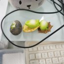 하신상사 이미지
