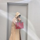 에츠하임 이미지