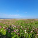 ㈜청보리 이미지