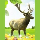 무학농장 이미지