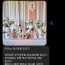 탠탠스냅 | 처음 맞이한 돌잔치의 추억