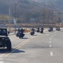 피닉스클럽 이미지