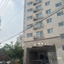 두두핏 | [산강호텔]강서구, 무료픽업 가능한 애견호텔 두두핏애견호텔