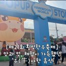 횡성한우마을 | 강원도 가을 낮에 알차게 즐긴 21회 횡성한우축제 후기