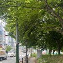 공영주차장옆길 이미지