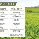 2019년 밭 직불금 5만원 오른 55만원으로…논 이모작은 4년째 동결 이미지