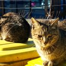 사천해변 이미지