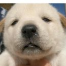 석계역길 이미지