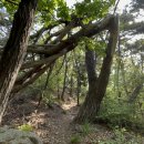 강화리빙스파랜드 이미지