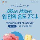 해피아이스크림 네이버블로그