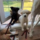 제이모터스(J모터스) 이미지