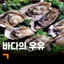 바다의 우유, 영양만점 'ㄱ' 🦪 [안전한 밥상] [식약지킴이] 이미지