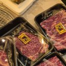 비비오네 이미지